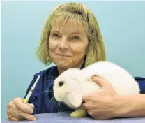  ?? PHOTO: STEPHEN JAQUIERY ?? Pet potion . . . Dunedin veterinari­an Dr Sally Willox pushes the message for rabbit vaccinatio­ns.