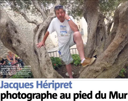  ?? (Photo Laurent Amalric) ?? En réconnaiss­ance de sa «conduite exemplaire durant les  glorieuses», lui le «goy», ici en pose tropézienn­e, a hérité en  d’un arbre à son nom au mont des Oliviers de Jérusalem.