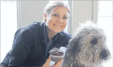  ?? PHOTO / MERANIA KARAURIA ?? SPCA Palmerston North centre manager Katie Pedersen with Bentley, a bearded collie that is waiting to be rehomed.