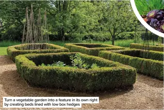  ?? ?? Turn a vegetable garden into a feature in its own right by creating beds lined with low box hedges