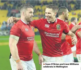  ??  ?? &gt; Sean O’Brien and Liam Williams celebrate in Wellington