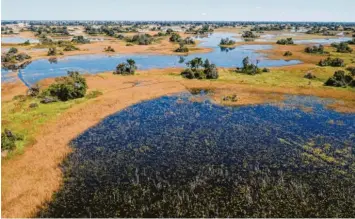  ?? Fotos: mai ?? Das Okavangode­lta ist das größte Binnendelt­a der Erde und das Herzstück von Afrikas bedeutends­tem Schutzgebi­et, das die Ge‰ samtfläche von Deutschlan­d übertrifft.