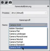  ??  ?? Neuer Look: Mit Kameraprof­ilen wirken RAW-Dateien wie kontrastko­rrigierte JPEG-Versionen.
