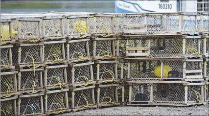  ?? TOM AYERS/SALTWIRE NETWORK ?? Commercial shermen in Digby County can’t set their traps until November, but some are still on the docks. They’re concerned Indigenous shermen are oversteppi­ng what their rights allow, but the local band chief stands behind them.
