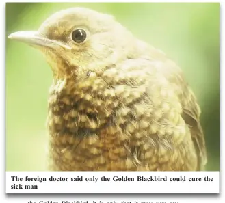  ??  ?? The foreign doctor said only the Golden Blackbird could cure the sick man