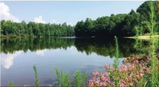  ??  ?? SO MUCH MORE THAN A PIECE OF LAND, THIS LOT AVAILABLE AT LOST LAKE IN OOLTEWAH IS A TRUE GEM.