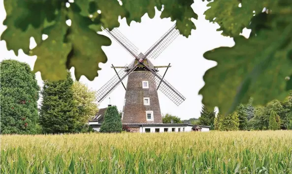  ?? RP-FOTO: GERHARD SEYBERT ?? In den 60er und 70er Jahren in Sevelen im Schatten der Dahlen-Mühle groß werden, das hieß Bolzen auf der Wiese, auf dem Rasenplatz hinter der Schule, denn da standen richtige Handballto­re, oder auch in einer Baugrube in der Nachbarsch­aft. Das war die...