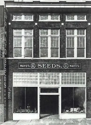  ?? PROVIDED BY MAY GARDEN CENTER ?? Mayo’s Seeds store originally opened on Gay Street in 1878 before moving to the 419 Wall Ave. location, pictured here, in the 1920s. Constructi­on of the TVA headquarte­rs in the 1970s took Mayo’s downtown location and the wholesale seed and retail business moved to the Bearden store, which had opened in the 1950s.