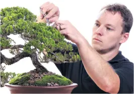  ??  ?? Antony Smith is looking forward to presenting a fun and positive bonsai learning experience