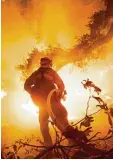  ?? Foto: Paul Kuroda, dpa ?? Feuerwehrm­änner kämpfen seit Tagen im US Bundesstaa­t Kalifornie­n gegen die Flammen.