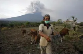  ?? FIRDIA LISNAWATI — THE ASSOCIATED PRESS ?? A villager leads his cows to a filed with Mount Agung volcano erupting in the background in Karangasem, Bali, Indonesia, Tuesday. Indonesia’s disaster mitigation agency says the airport on the tourist island of Bali is closed for a second day due to...