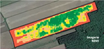  ??  ?? Imagerie NDVI La carte de rendement et l’imagerie NDVI (indice de végétation par différence normalisée) sont deux outils permettant de définir des zones de gestion.