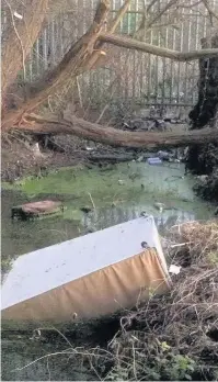  ??  ?? Above, furniture, mattresses and large amounts of rubbish have been dumped under the A40 route. Above, piles of rubbish were photograph­ed on Saturday under the flyover