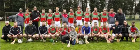  ??  ?? The Rapparees squad prior to Saturday’s Permanent TSB Junior hurling championsh­ip final in Clongeen.