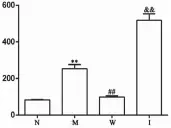  ??  ?? 注：N.正常组；M.模型组；W.温针组；I.IL-6 组；
与正常组比较，**P＜0.01；与模型组比较，##P＜0.01；
与温针组比较，＆＆P＜0.01图 2 各组大鼠脊髓 Iba-1 含量比较（x±s） —