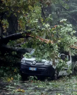  ??  ?? Alberi sulleauto In tutta Italia il forte vento ha abbattuto alberi e messo a rischio la circolazio­ne