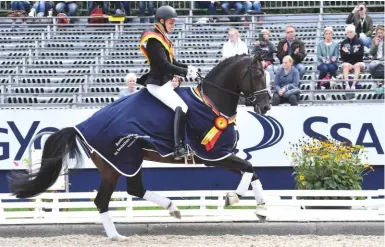  ??  ?? The five-year-old champion Zucchero OLD (by Zonik) earns a 10 for suppleness under Frederic Wandres