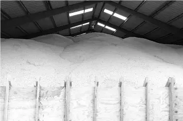  ?? — Reuters photo ?? Bushels of corn is stored in a shed after the regular bins have been filled to capacity with corn and soybeans on a family farm in Casey, Illinois, US. In the update, USTR said it had found that China had not responded ‘constructi­vely’ to the initial section 301 reports and failed to take any substantiv­e actions to address US concerns.