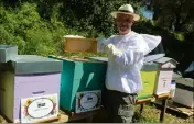  ?? Les abeilles, exemples de confinemen­t réussi chez Patrick Chastel. (Photo J.-M.P.) ??