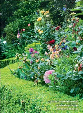  ??  ?? The mix of carefully colour matched aquilegias, paeonies and roses.