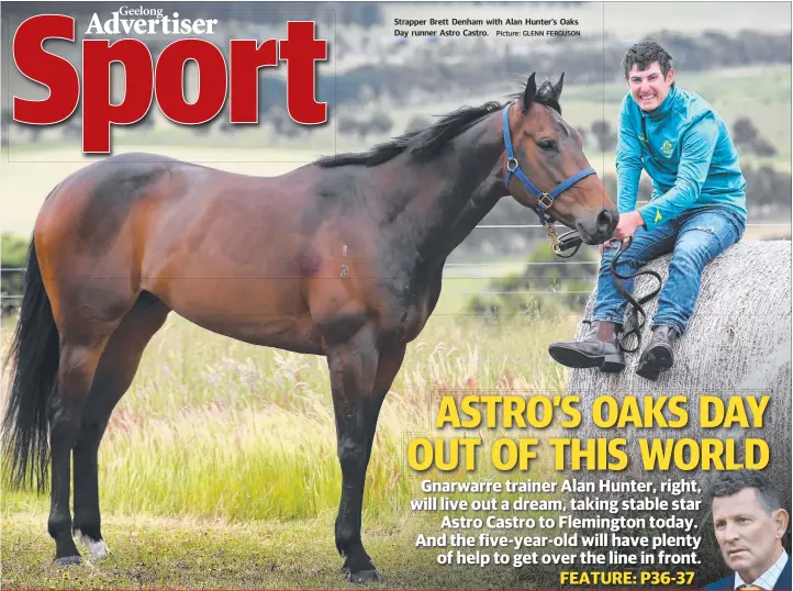  ?? Picture: GLENN FERGUSON ?? Strapper Brett Denham with Alan Hunter’s Oaks Day runner Astro Castro.