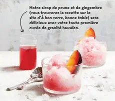  ??  ?? Notre sirop de prune et de gingembre (vous trouverez la recette sur le site d’à bon verre, bonne table) sera délicieux avec votre toute première cuvée de granité hawaïen.