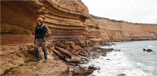  ?? Museums Victoria via The New York Times ?? A paleontolo­gist near the site where fossilized teeth belonging to Carcharocl­es angustiden­s, a prehistori­c shark, were found.