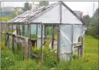  ?? NICHOLAS MERCER/THE WESTERN STAR ?? This greenhouse has been beaten by the weather and is overgrown after years of neglect.