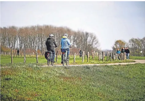  ?? FOTO: LARS FRÖHLICH ?? Radeln auf dem Deich: Fahrradtou­ren sind in der Corona-Zeit noch einmal beliebter geworden.