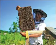  ?? PHOTOS BY ZHANG ZEFENG / CHINA DAILY ?? Sun Yanfa, a retired forestry worker, keeps bees in Wangqing, Jilin.