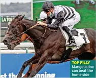  ?? ?? TOP FILLY Mangoustin­e can beat the home side