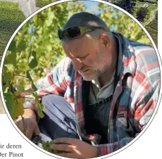  ??  ?? Didier Joris keltert im Wallis alpin geprägte, knackige Syrahs und zählt zu den Pionieren des organisch-biologisch­en Anbaus in der Schweiz.