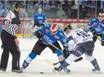  ?? FOTO: DIREVI ?? Die Schwenning­er Wild Wings (blau), hier Istvàn Bartalis beim 4:1-Sieg gegen Ingolstadt im Zweikampf mit Darryl Boyce, bestreiten am Freitag in Straubing ihr letztes Auswärtssp­iel in dieser Saison. Die Gastgeber wollen mit einem Heimsieg die...