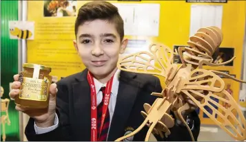  ??  ?? Rían Byrne from Colaiste Chill Mhantain with his own honey and his award-winning project on the effects of Hydroxymet­hylfurfura­ldehyde on honey and human health.