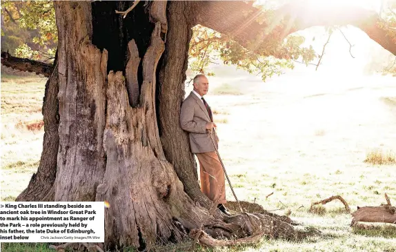  ?? Chris Jackson/Getty Images/PA Wire ?? King Charles III standing beside an ancient oak tree in Windsor Great Park to mark his appointmen­t as Ranger of the Park – a role previously held by his father, the late Duke of Edinburgh, inset below