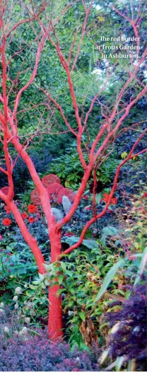  ??  ?? The red border at Trotts Garden in Ashburton.