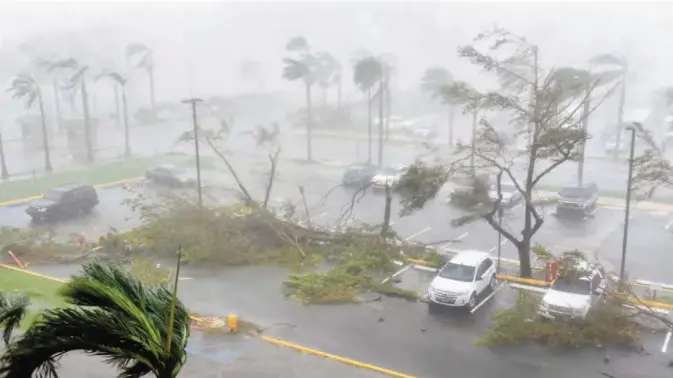  ??  ?? SAN JUAN: Trees are toppled in a parking lot at Roberto Clemente Coliseum in San Juan, Puerto Rico yesterday during the passage of the Hurricane Maria. Maria made landfall on Puerto Rico yesterday, pummeling the US territory after killing at least two...