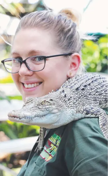  ?? Picture: JUSTIN BRIERTY ?? LATTER-DAY DUNDEE: Cairns Zoom wildlife keeper Stacey Denovan is right in here element with sixyear-old crocodile Herb.