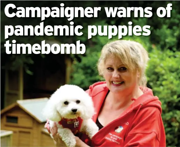  ??  ?? Linda Goodman, founder of award-winning anti-puppy farm campaign Cariad.