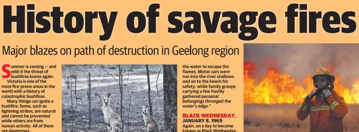  ??  ?? A member of the CFA attends a bushfire near Melbourne.