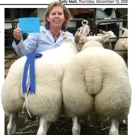  ??  ?? You’re baa-d: Gwen Renfree and award-winning sheep