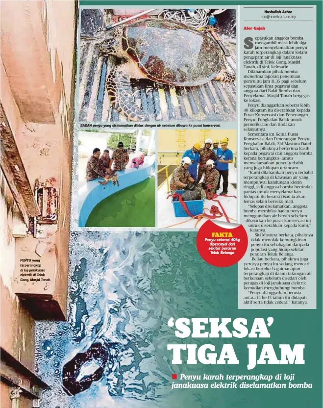  ??  ?? PENYU yang terperangk­ap di loji janakuasa elektrik di Telok Gong, Masjid Tanah.
BADAN penyu yang diselamatk­an dibilas dengan air sebelum dibawa ke pusat konservasi.