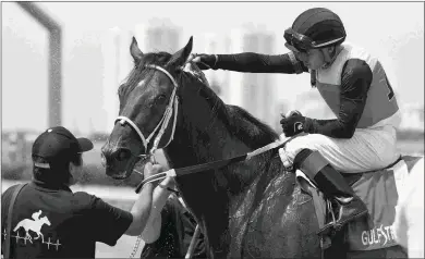  ?? LAUREN KING/COGLIANESE PHOTOS ?? Conquest Sandman, with Emisael Jaramillo up, cools off after a win in Sunday’s Mecke Stakes.