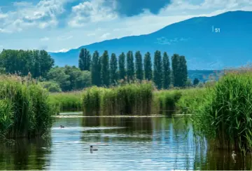  ??  ?? Des réserves naturelles bordent la rive sud du lac, abritant 800 espèces végétales et 10000 espècesani­males.