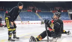  ?? FOTO: KREFELD PINGUINE ?? Einige Spieler der Pinguine, wie hier Leon Niederberg­er, gingen mit den Para-Eishockeys­pielern aufs Eis.