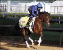  ?? GARRY JONES — THE ASSOCIATED PRESS ?? Kentucky Derby hopeful Thunder Snow, ridden by Daragh O’Donohue, gallops for the first time at Churchill Downs in Louisville, Ky., Tuesday.