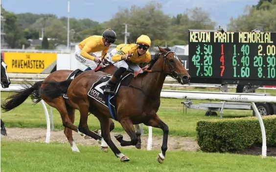  ?? Photo / Race Images ?? Tavi Mac is a home bred but more than capable of taking on racing blue blood Avantage in the Telegraph at Trentham tomorrow.