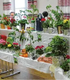  ?? Foto: Ernst Wiedemann ?? Eine schöne, grüne Tombola mit tollen pflanzlich­en Preisen gab es bei der Jahres hauptversa­mmlung des Gartenbauv­ereins Laugna.