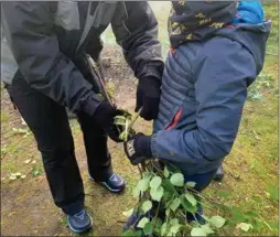  ??  ?? RISSELUVDÁ: Oahppit ohppe risseluvdd­áid ráhkadit, ja dan sii nákcejedje hui bures.