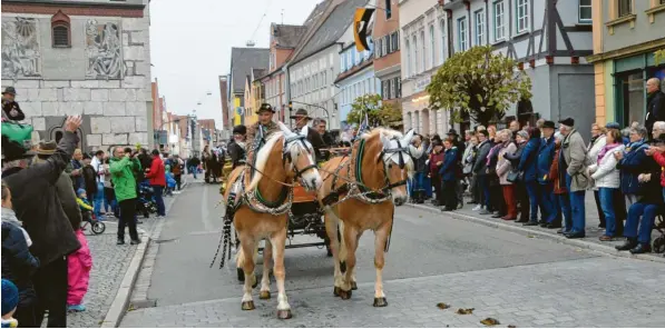  ??  ?? Franz Meitinger aus Prettelsho­fen ist gefühlsmäß­ig „schon immer“beim Leonhardir­itt in Lauingen dabei. So auch in diesem Jahr. Das Herrichten seiner Haflinger macht ihm zwar viel Arbeit, aber auch viel Freude.